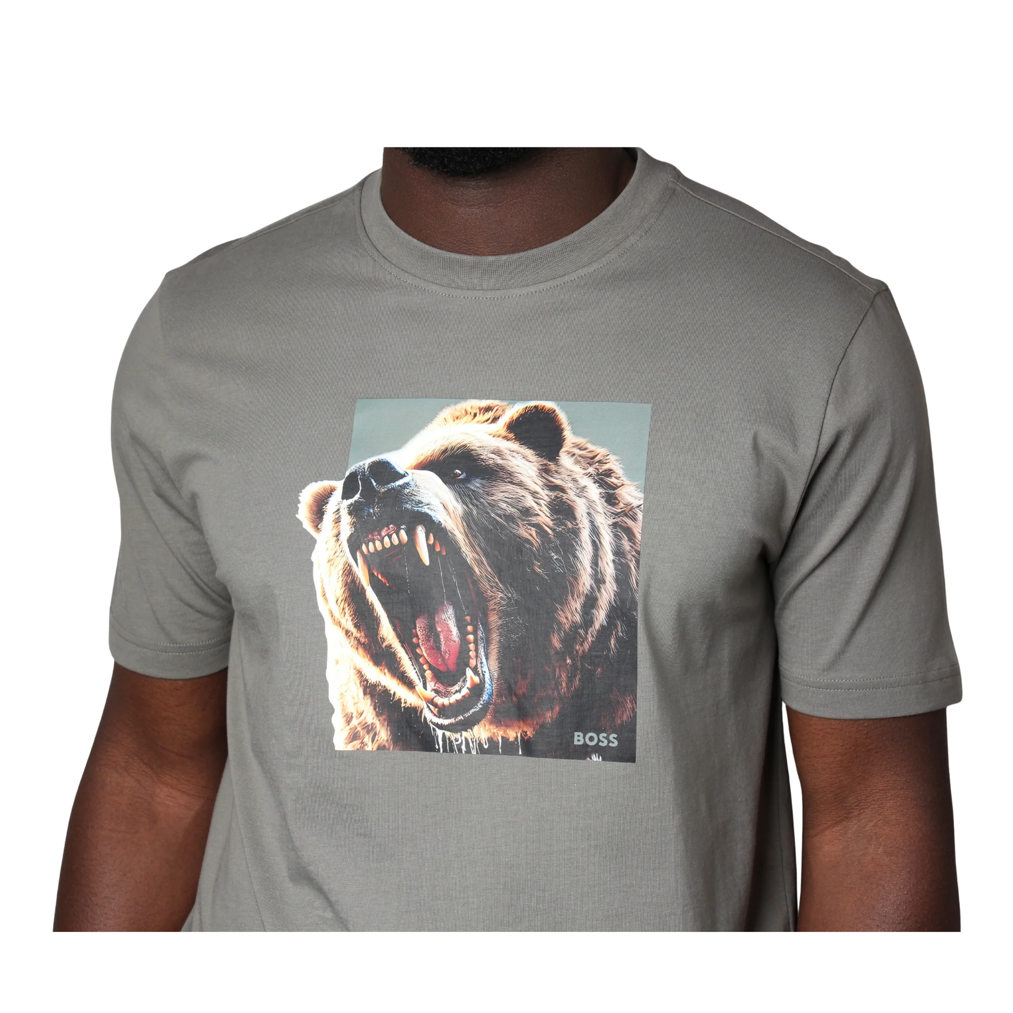 Mens BOSS Open Grey Te_Dobermann Bear S/s T Shirt - Image 3