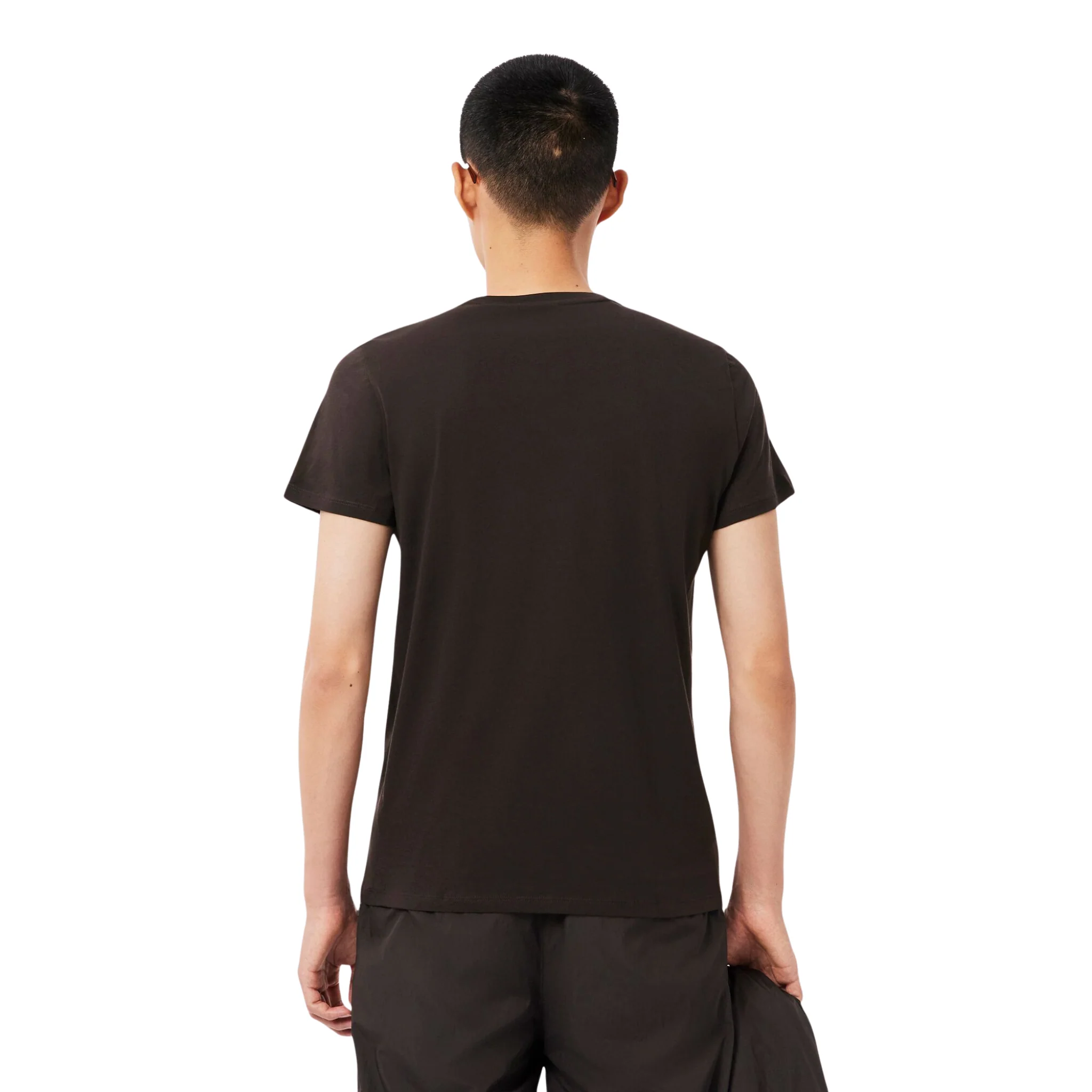 Mens Lacoste Brown Cotton Pima Regular Fit S/s T Shirt - Image 5
