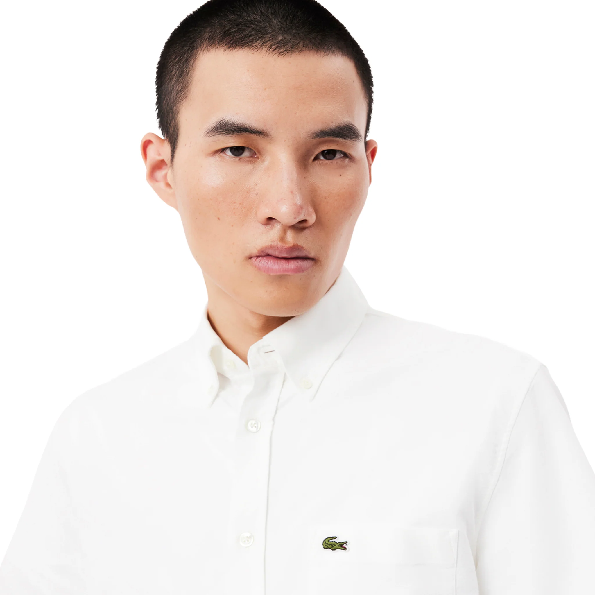 Mens Lacoste White Oxford Casual S/s Shirt - Image 4