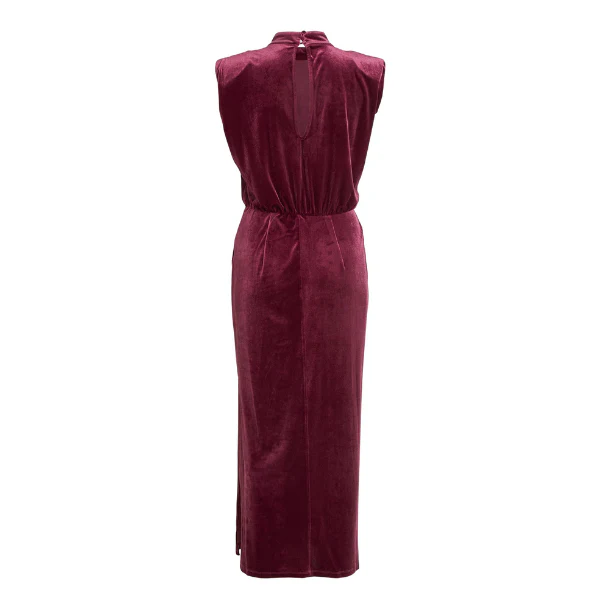 Womens Winter Bloom Viemily High Neck Velvet Dress - Image 3